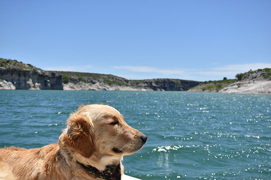 Louie at Amistad Lake
